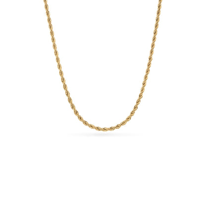 Murphys Sketches x Abbott Lyon Custom Robin Coin Necklace (Gold)