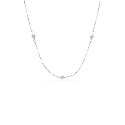 Murphys Sketches x Abbott Lyon Custom Robin Coin Necklace (Silver)
