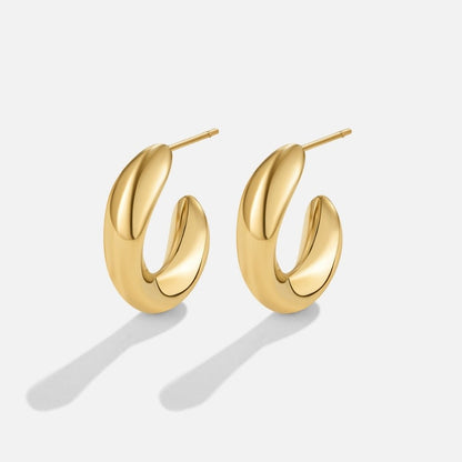 Twisted Sarah Hoop Earrings